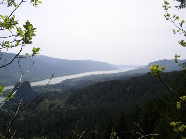 4.30.06 Hamilton Mountain 036 